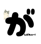 白黒ねこのドン！と応援スタンプ（個別スタンプ：1）