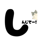 白黒ねこのドン！と応援スタンプ（個別スタンプ：9）