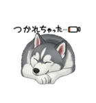 『シベリアンハスキー』のスタンプ（個別スタンプ：2）