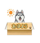 『シベリアンハスキー』のスタンプ（個別スタンプ：30）