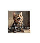 やさしい毒吐きネコ（個別スタンプ：1）