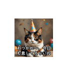 やさしい毒吐きネコ（個別スタンプ：2）