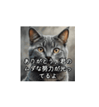 やさしい毒吐きネコ（個別スタンプ：5）