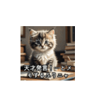やさしい毒吐きネコ（個別スタンプ：11）