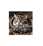 やさしい毒吐きネコ（個別スタンプ：12）