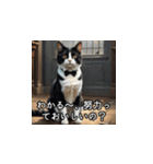 やさしい毒吐きネコ（個別スタンプ：14）
