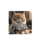やさしい毒吐きネコ（個別スタンプ：17）
