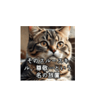 やさしい毒吐きネコ（個別スタンプ：23）