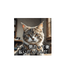 やさしい毒吐きネコ（個別スタンプ：28）