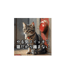 やさしい毒吐きネコ（個別スタンプ：36）
