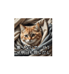やさしい毒吐きネコ（個別スタンプ：40）