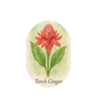 熱帯花シリーズ:Tropical flowers（個別スタンプ：1）