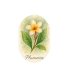 熱帯花シリーズ:Tropical flowers（個別スタンプ：5）