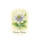 熱帯花シリーズ:Tropical flowers（個別スタンプ：6）