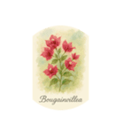熱帯花シリーズ:Tropical flowers（個別スタンプ：7）
