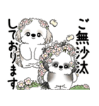 シーズーさん達 2025 「花と丁寧語」（個別スタンプ：2）