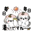 シーズーさん達 2025 「花と丁寧語」（個別スタンプ：4）