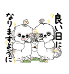 シーズーさん達 2025 「花と丁寧語」（個別スタンプ：5）