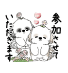 シーズーさん達 2025 「花と丁寧語」（個別スタンプ：8）
