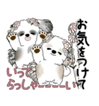 シーズーさん達 2025 「花と丁寧語」（個別スタンプ：9）