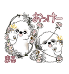シーズーさん達 2025 「花と丁寧語」（個別スタンプ：11）