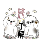 シーズーさん達 2025 「花と丁寧語」（個別スタンプ：12）
