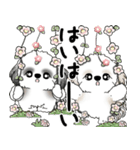 シーズーさん達 2025 「花と丁寧語」（個別スタンプ：15）