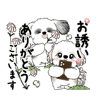 シーズーさん達 2025 「花と丁寧語」（個別スタンプ：16）