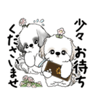 シーズーさん達 2025 「花と丁寧語」（個別スタンプ：26）