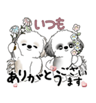 シーズーさん達 2025 「花と丁寧語」（個別スタンプ：27）