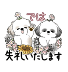 シーズーさん達 2025 「花と丁寧語」（個別スタンプ：34）