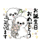 シーズーさん達 2025 「花と丁寧語」（個別スタンプ：39）
