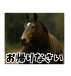 俺達の馬熊スタンプ（個別スタンプ：3）
