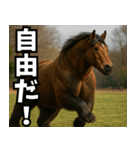 俺達の馬熊スタンプ（個別スタンプ：11）