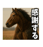 俺達の馬熊スタンプ（個別スタンプ：13）