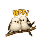 リアルでかわいいシマエナガLINEスタンプ（個別スタンプ：12）