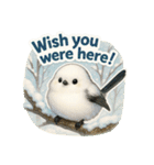 リアルでかわいいシマエナガLINEスタンプ（個別スタンプ：27）
