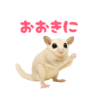 白い系フクモモスタンプ（個別スタンプ：3）