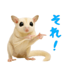 白い系フクモモスタンプ（個別スタンプ：4）