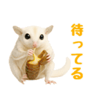 白い系フクモモスタンプ（個別スタンプ：9）
