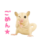 白い系フクモモスタンプ（個別スタンプ：12）