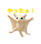 白い系フクモモスタンプ（個別スタンプ：17）
