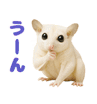白い系フクモモスタンプ（個別スタンプ：18）