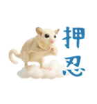 白い系フクモモスタンプ（個別スタンプ：20）