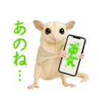 白い系フクモモスタンプ（個別スタンプ：21）