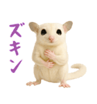 白い系フクモモスタンプ（個別スタンプ：22）