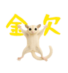 白い系フクモモスタンプ（個別スタンプ：35）
