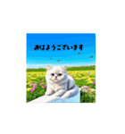 かわいい猫であいさつ（個別スタンプ：1）