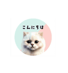 かわいい猫であいさつ（個別スタンプ：2）