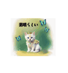 かわいい猫であいさつ（個別スタンプ：12）